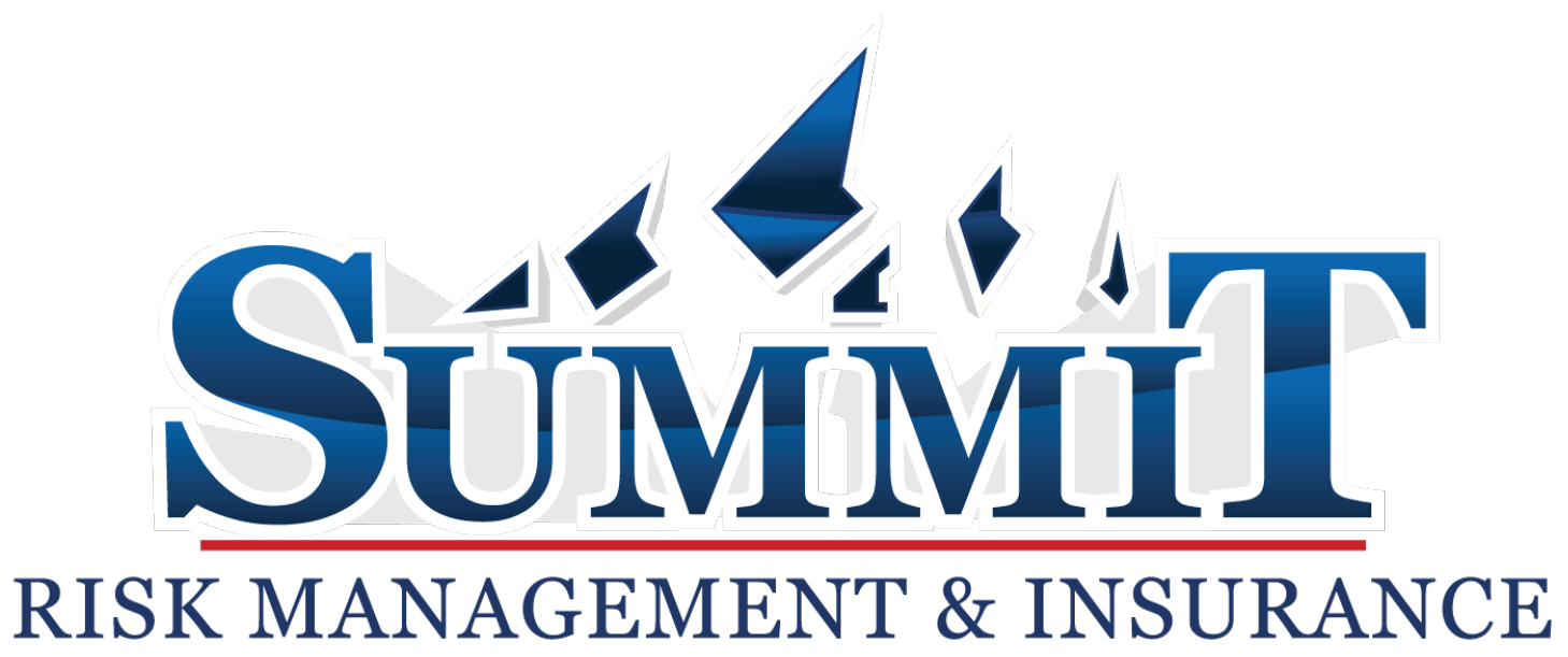 Summit Risk Management